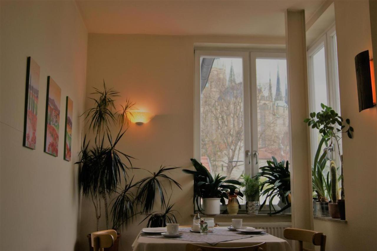 Hotelpension Am Dom Erfurt Eksteriør bilde