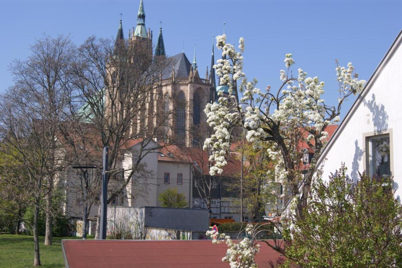 Hotelpension Am Dom Erfurt Eksteriør bilde